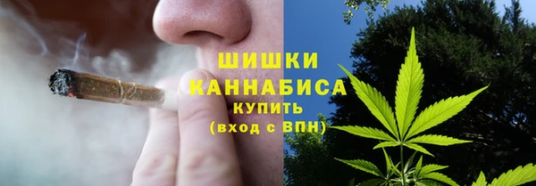 дживик Абаза