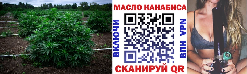 Дистиллят ТГК THC oil  кракен как войти  Моршанск 