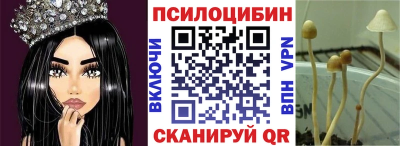 ссылка на мегу   Моршанск  Галлюциногенные грибы Cubensis 